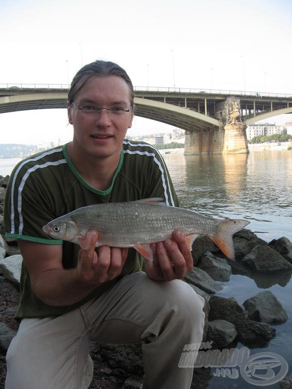 Egy régebben fogott paducom, ami márnázás közben került horogra