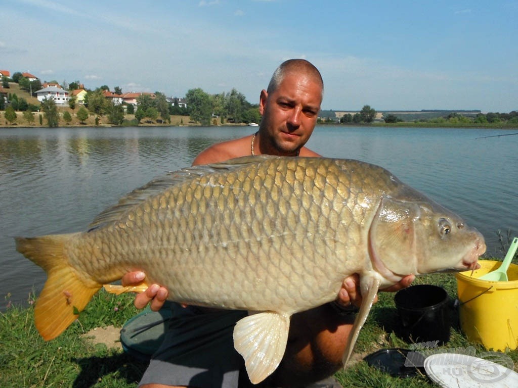 13,20 kg-os pikkelyes