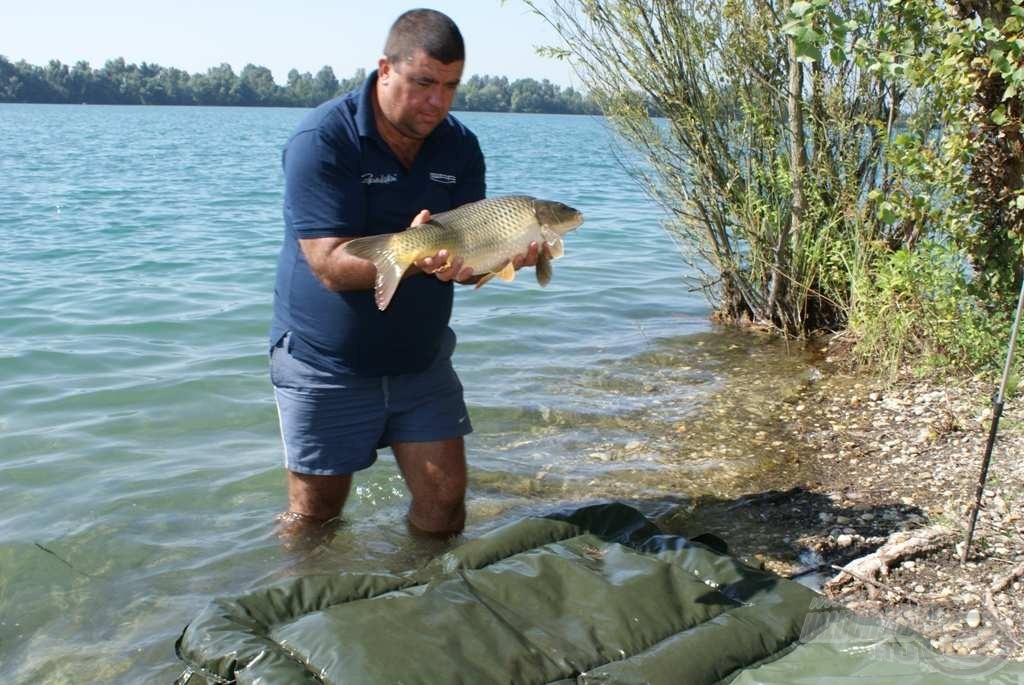 A ponty, amelyik két horgomat is beszippantotta