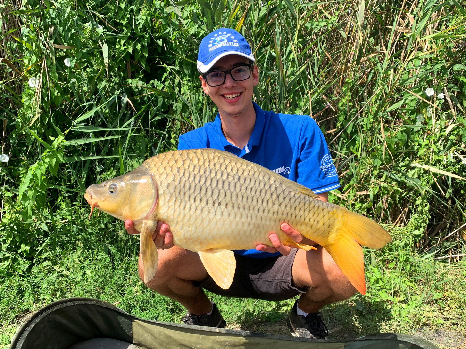 Szép, 6 kg-ot meghaladó töves