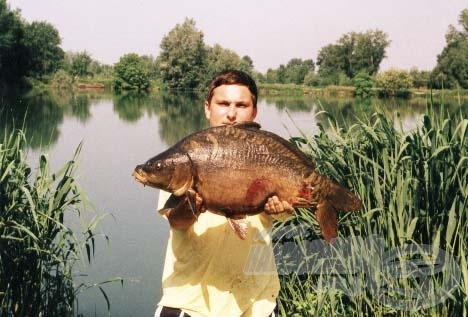 A kiváló minőségű, fehérjékben gazdag házi bojlinak köszönhetően az öreg, rutinosnak mondható, pontyok elhagyták a védelmet nyújtó dzsungelt, s így esélyem nyílt a megfogásukra