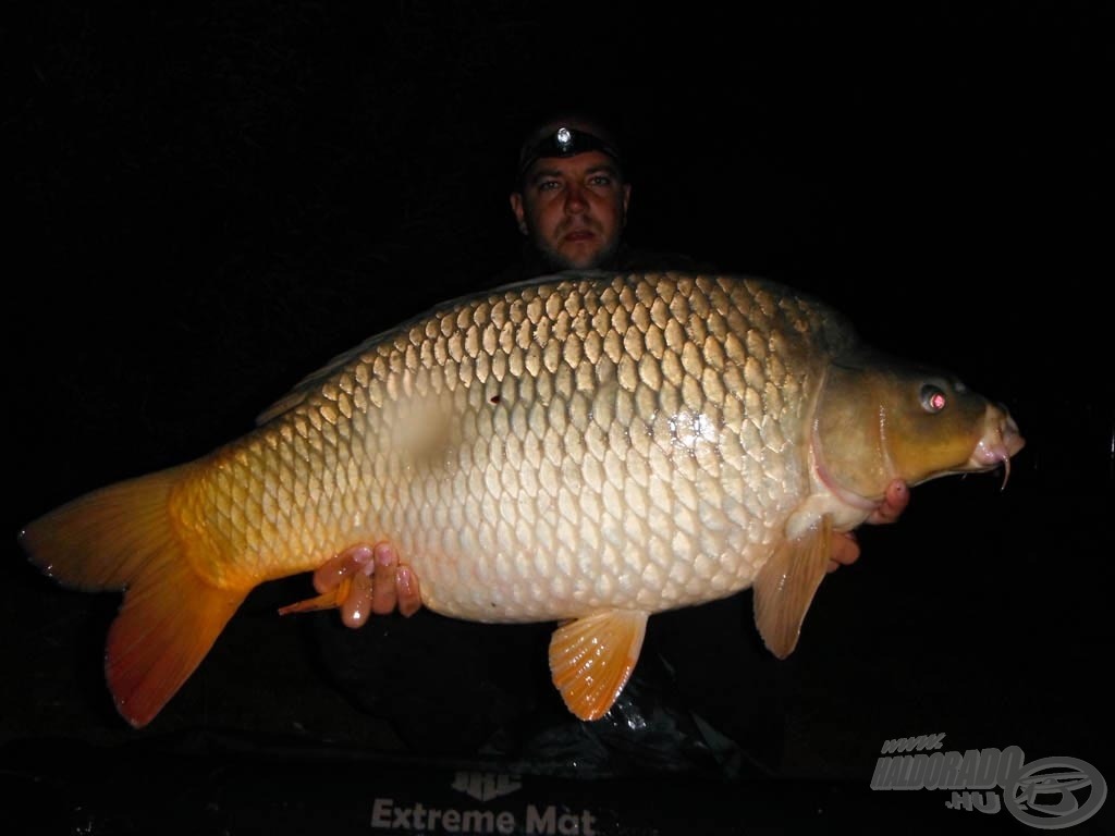 Kora esti jelentkezők: 14,80 kg-os és