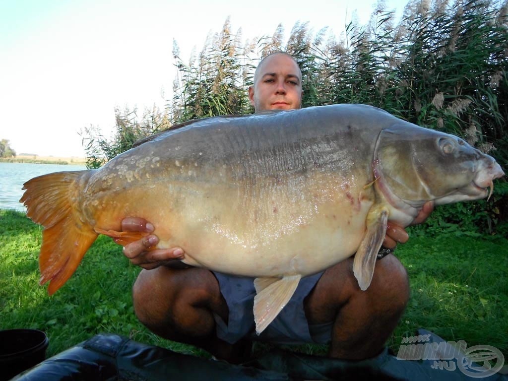 Nappali fogások: 18,50 kg-os és…