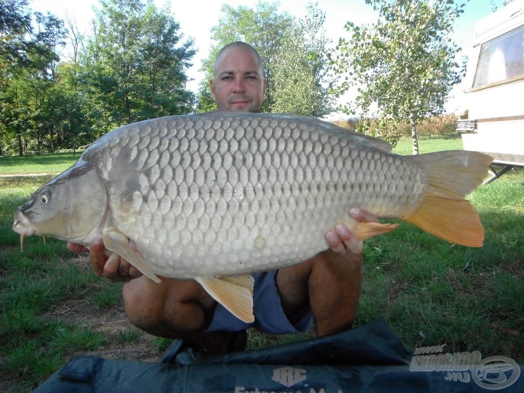 14,30 kg-os tőpontyok