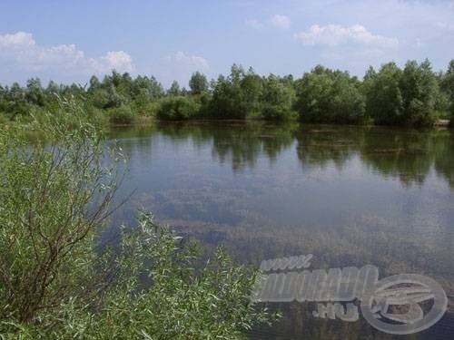 A növényzet erős, de nem egybefüggő, a víz tiszta és mély, a tagolt pedig part sok lehetőséget kínál