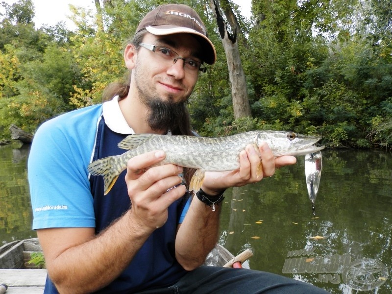 Előszeretettel használok Rapala Blue Fox Inkoo villantókat