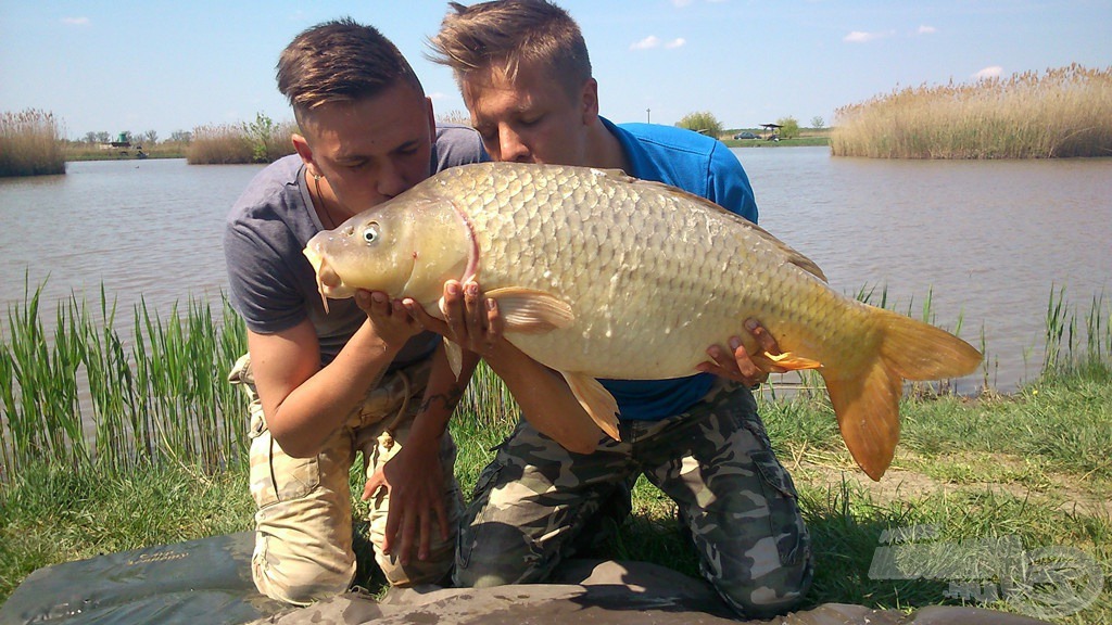 Tiszteljük, szeretjük a halat - bár mindenki így gondolkozna. A gyönyörű ponty súlya: 12,60 kg. Örömünk leírhatatlan volt