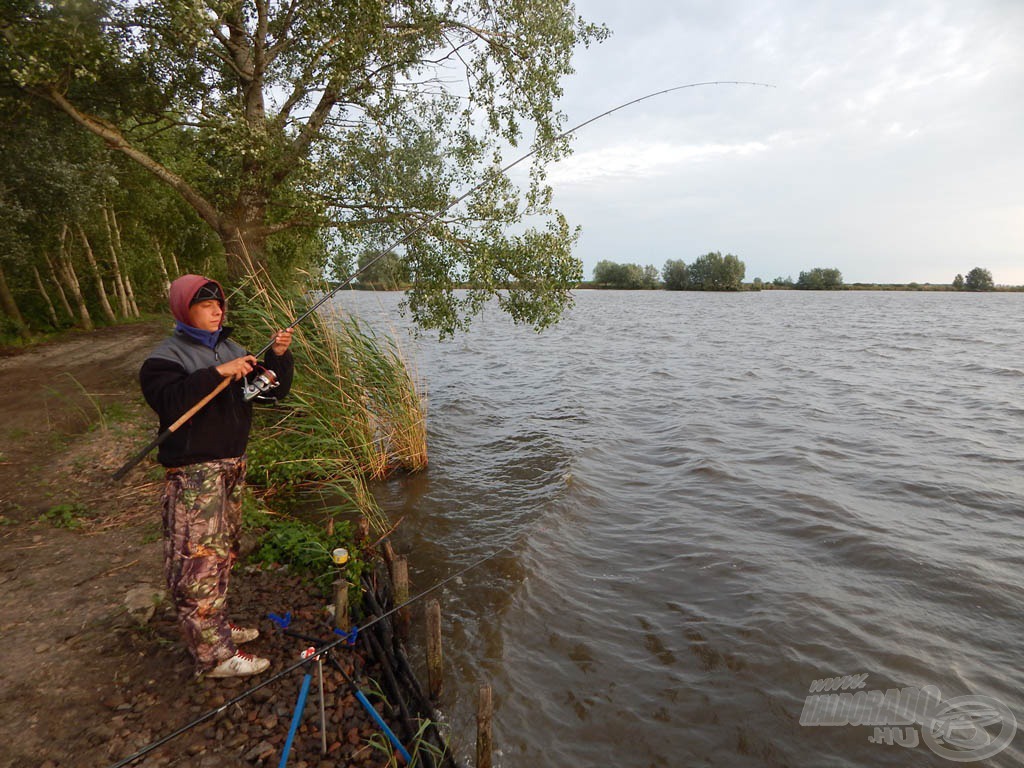 A harmadik reggel sem kellett 5 percnél többet várni az első kapásra. A levegő hőmérséklete májushoz képest nagyon alacsony volt