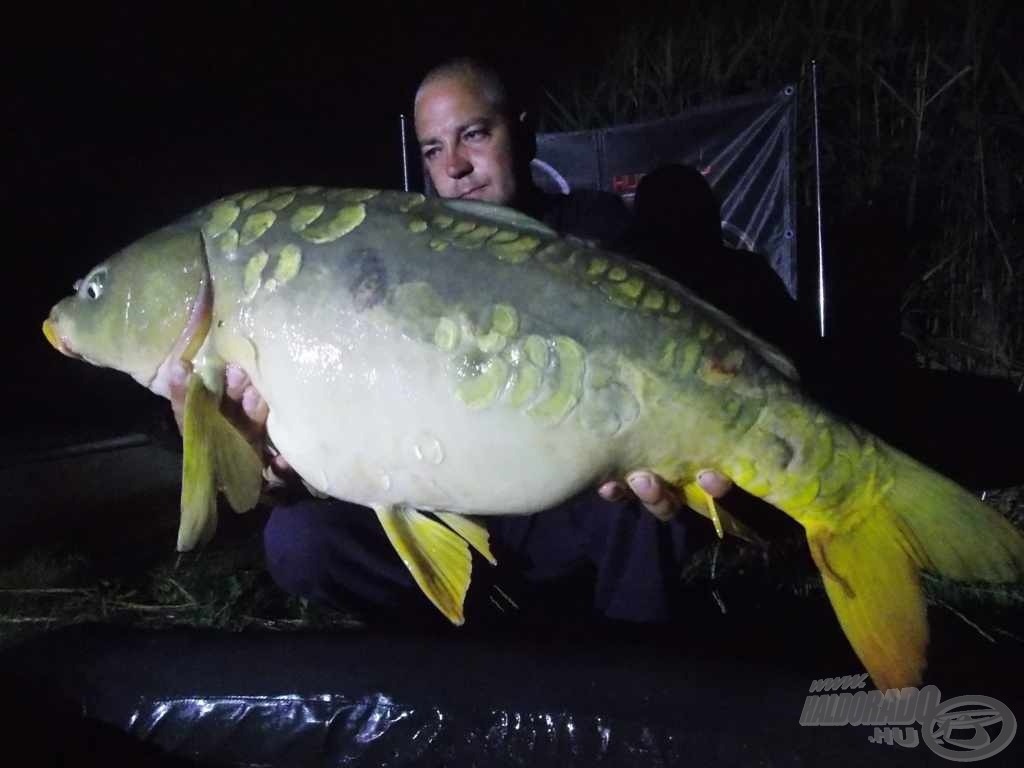 A túra legnagyobbja, egy szépséges spanyol ponty (12,80 kg)