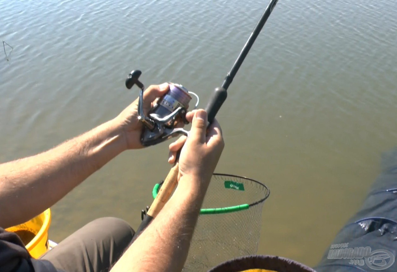 Mivel e csodálatos tavon nem ritkák a 10 kg+-os száguldó pontyok, a zsinór klipszbe akasztása nem szerencsés, ezért Krisztián a dobást követően a lefutó Navigator zsinór jelöléseit figyelve - remek ritmusérzékkel - 0,5 méteres pontossággal fogott rá a kívánt jelre, távolságra. Fárasztásnál nem kell attól tartania, hogy a klipszbe kiakasztott zsinór miatt veszti el a nagytestű kirohanó halát