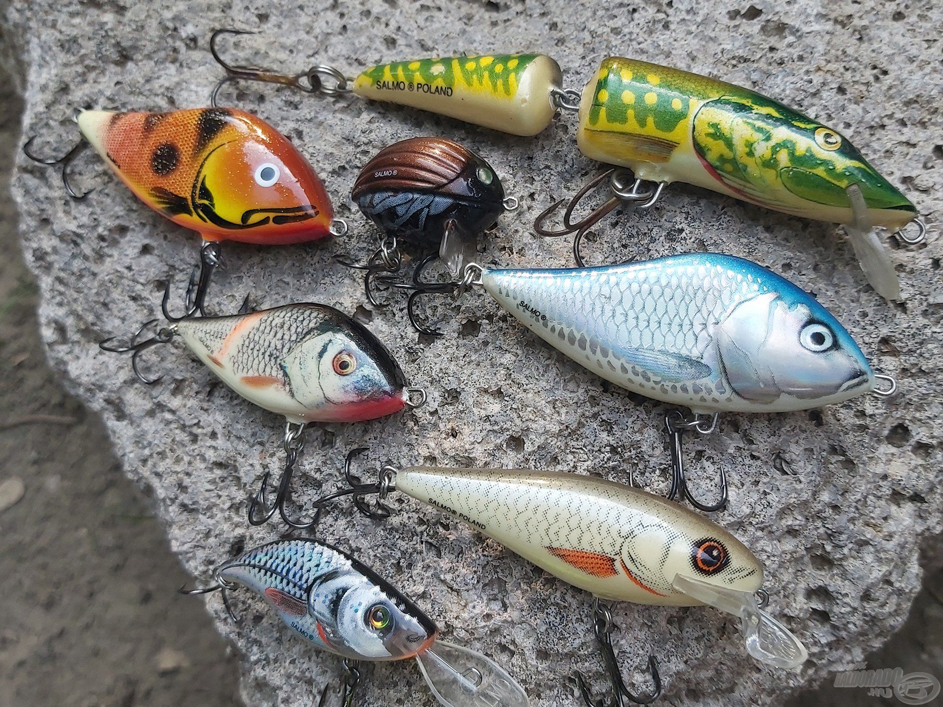 Csalik terén alkalmazkodnunk kell a növényzettel benőtt terephez. Nálam bevált wobblerek ilyen vizeken a Salmo Pike, a Salmo Slider, a Salmo Executor, a Salmo Sparky Shad és a Salmo Lil Bug