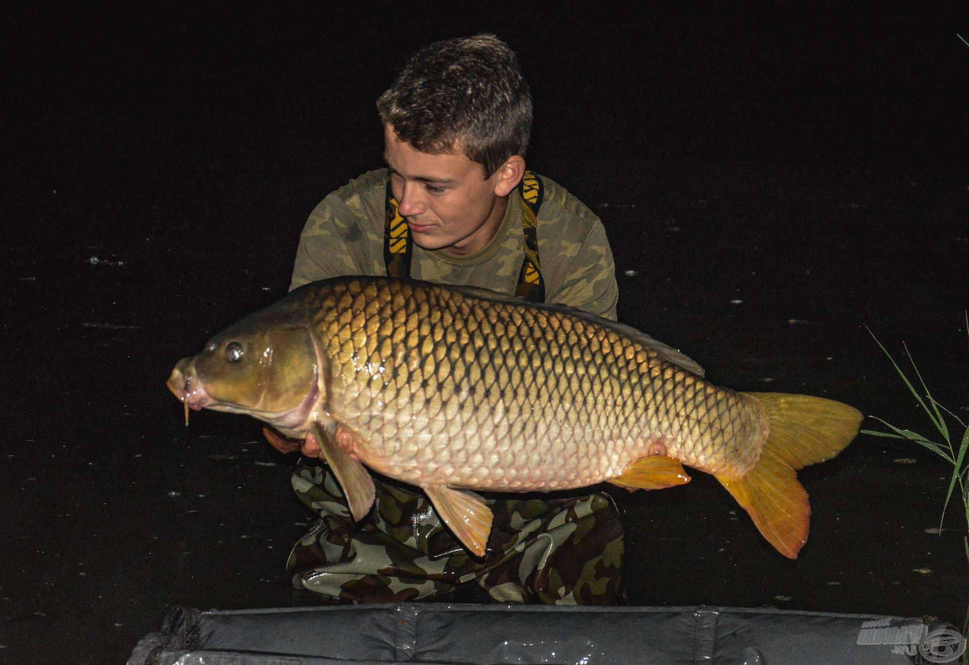 Alig haladta meg a 10 kg-t, viszont hihetetlen erővel küzdött