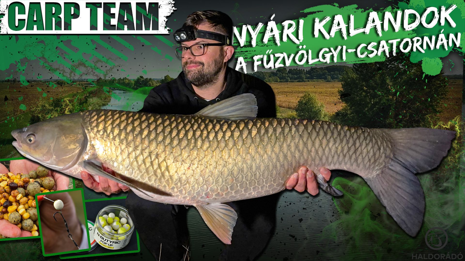 Nyári kalandok a Fűzvölgyi-csatornán