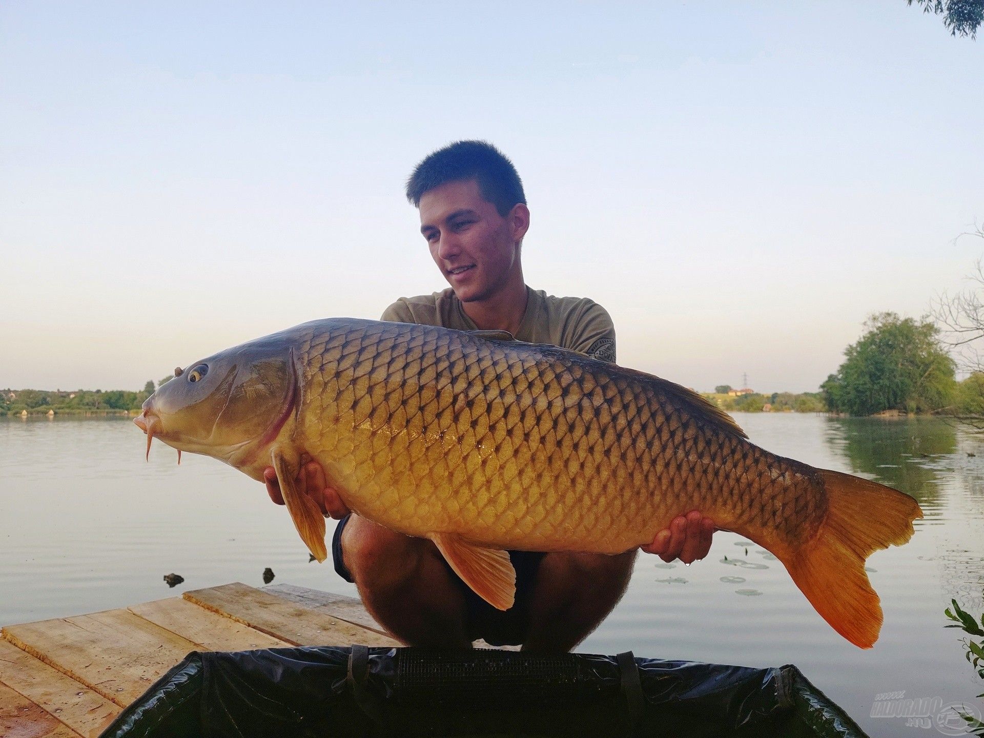 Egy tipikus helyi nyurga, gyönyörű halak laknak itt