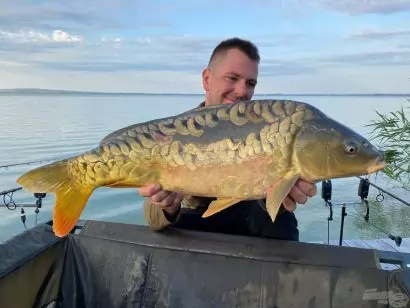 Nyári nagyponty-horgászat a Balatonon