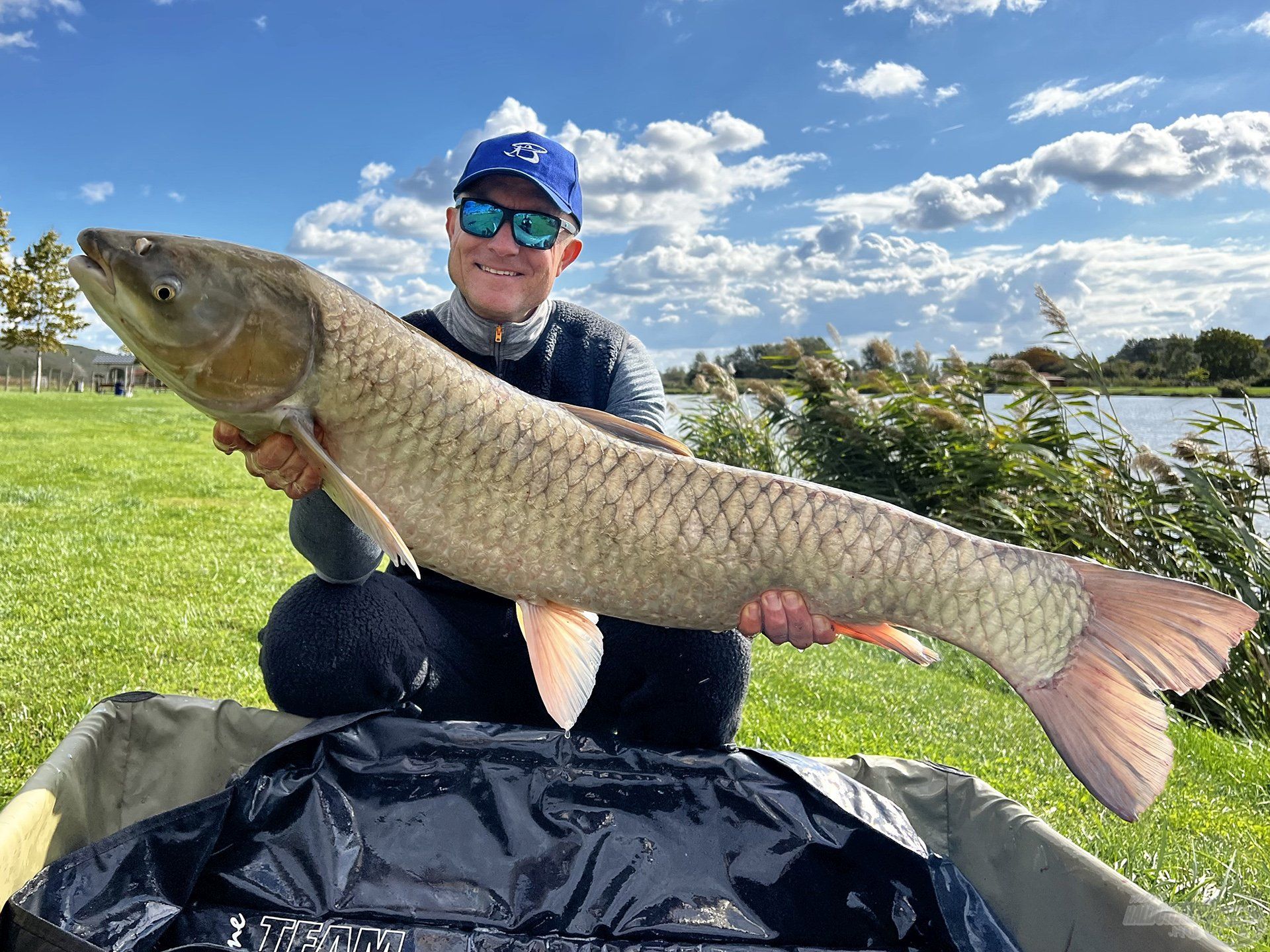 Ez az amur 11,26 kg-ot nyomott. Ha vaskosabb lenne, bőven 15 kg is lehetne