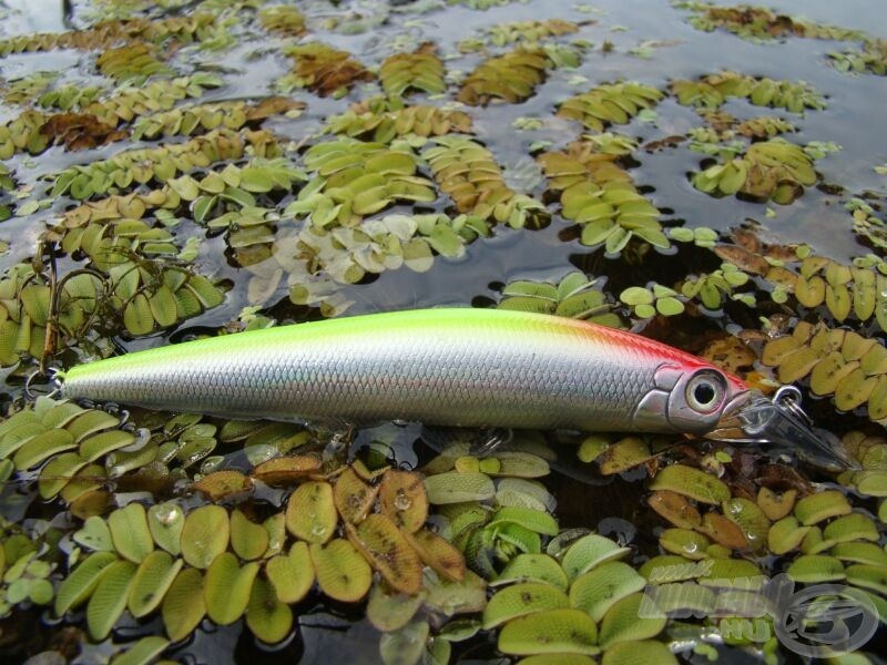 Igazi nagyágyú a Long Minnow (szín: Clown)