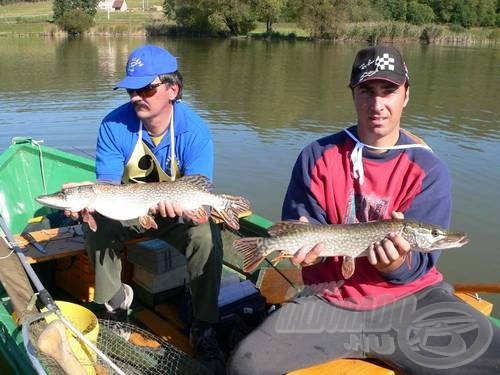 A nagyobb csukát 2,72 kilogrammosnak mutatta a mérleg