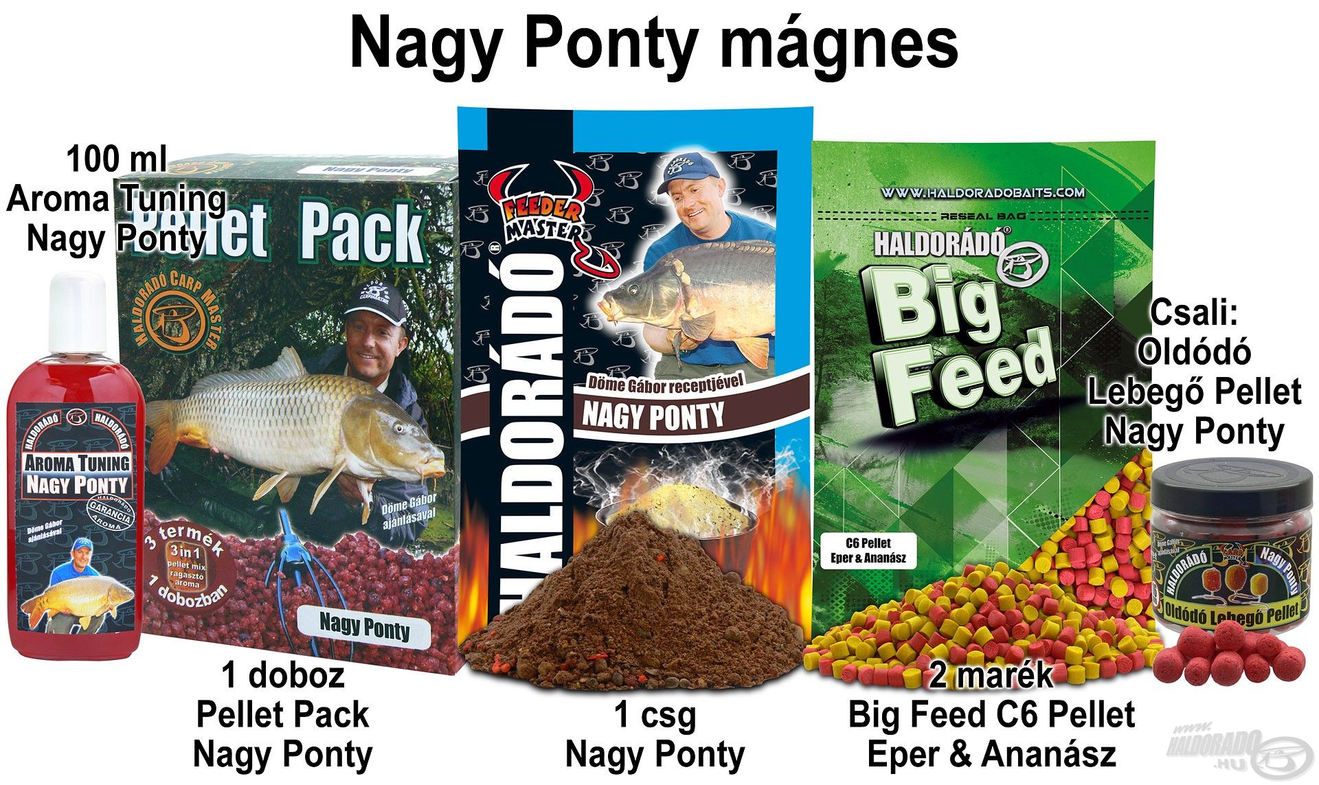 Nagy Ponty mágnes