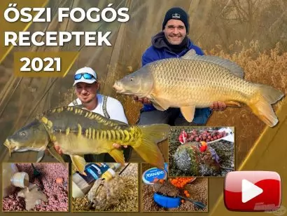 Őszi fogós receptek hűlő vizekre 2021