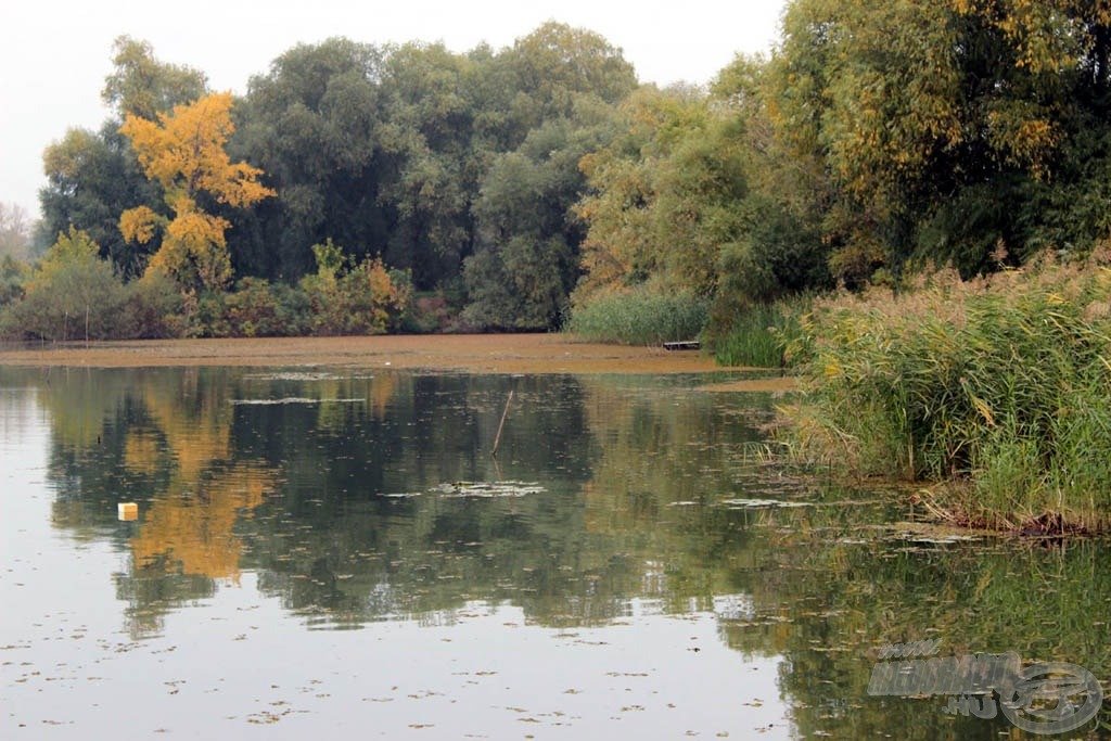 Talán még most is van lehetőség, irány hát a vízpart!