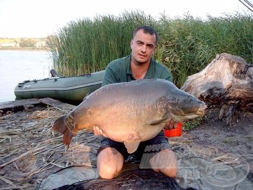 Ez a csak 'csúf öregnek' becézett, 20 kilón felüli ponty már közel 7-8-szor horogra került, rendkívül fotogén alkatnak tartja magát. Viszont már több mint egy éve nem látták, valahogy az utóbbi időben elkerüli a horgot