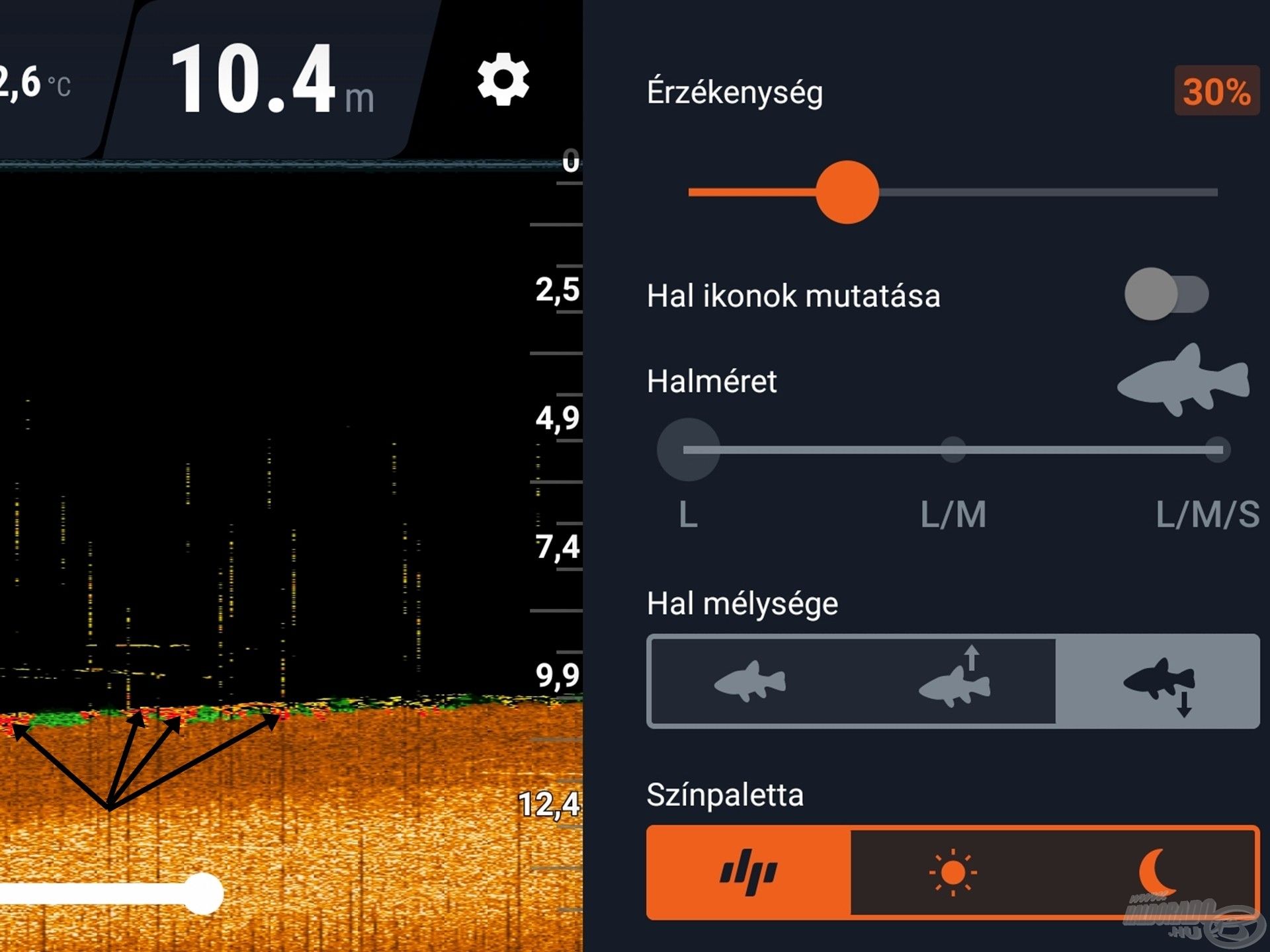 A Deeper saját színpalettájára váltva lesz gyanús, hogy az aljzaton több, pontszerűen elkülönülő objektum van, amik akár halak, akár nagyobb kövek is lehetnek. Az adott napon ezt a területet nem fésültem át, ám otthon lementettem a helyet, lentebb azt is mutatom, hogyan, és a megoldást is elárulom