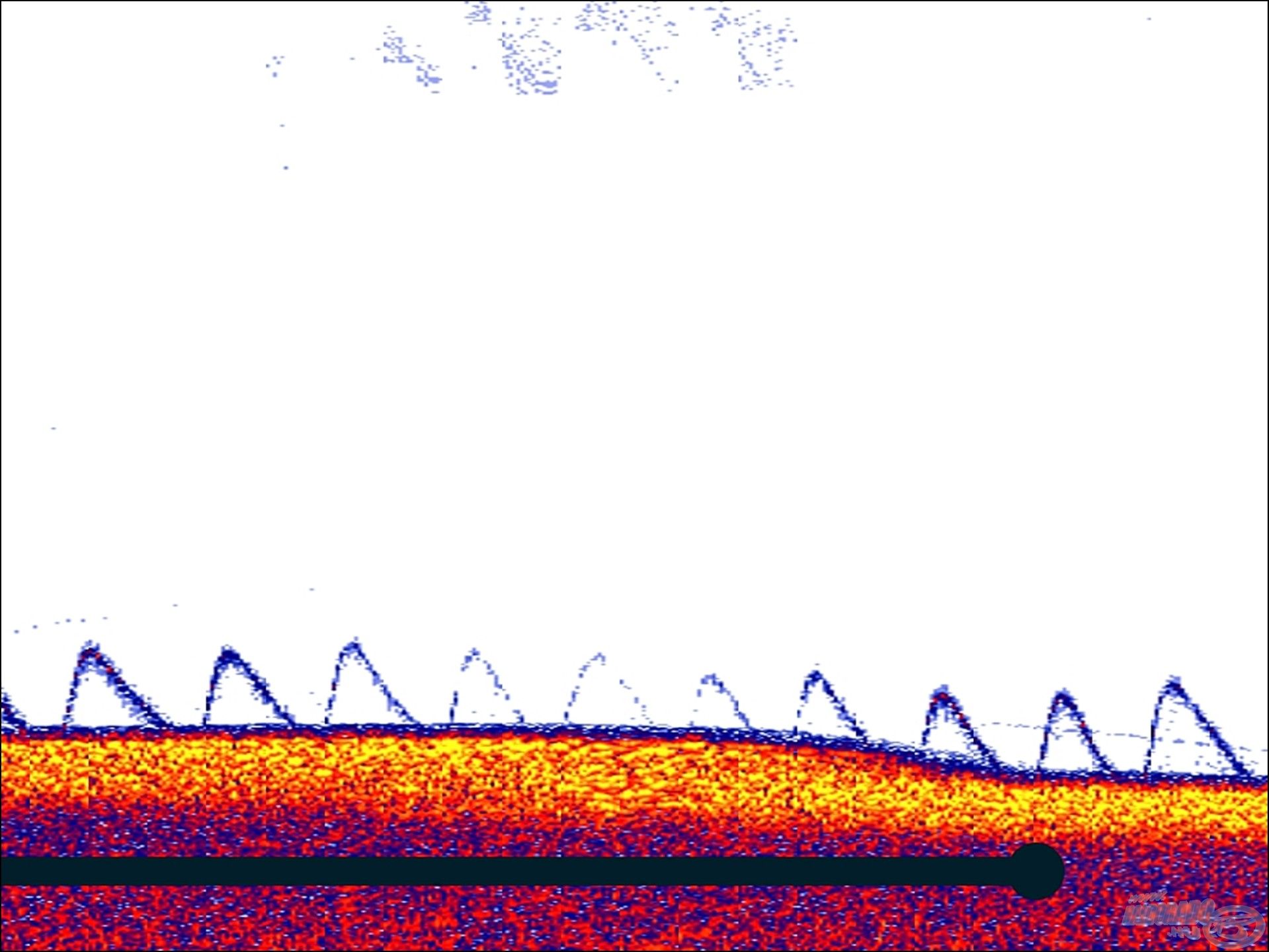 Vertikális horgászat során jól tudjuk ellenőrizni a csalink elhelyezkedését. Itt az látszik, amikor a jeladó alól elkezdtem oldalra kivezetni a csalit, megfigyelhető, ahogy a jel elhalványodik, majd amikor visszavezetem, újra felerősödik