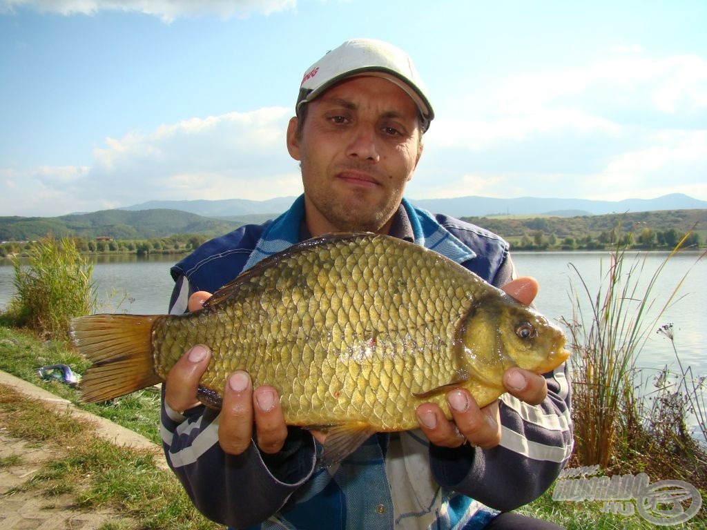 Maconka aranya, már 1 kg felett