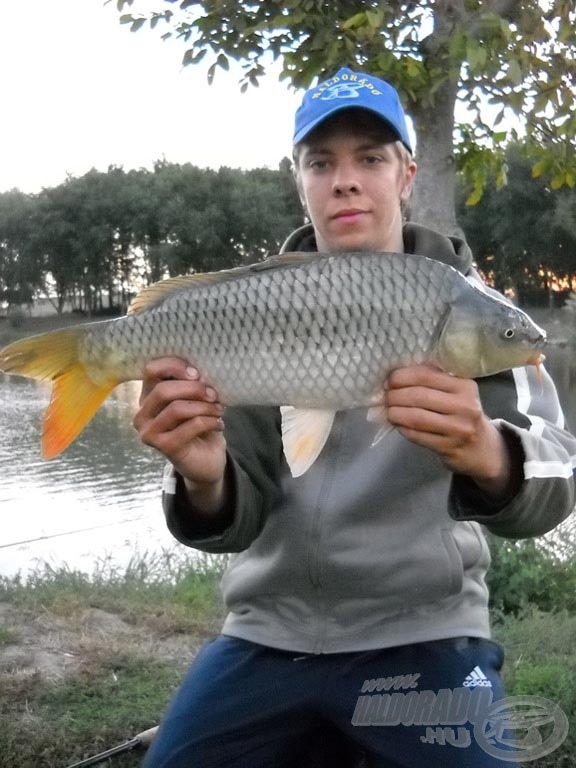 A nap első hala ez a szép, 2 kg körüli tőponty lett, szerencsémre nem kellett rá sokat várni