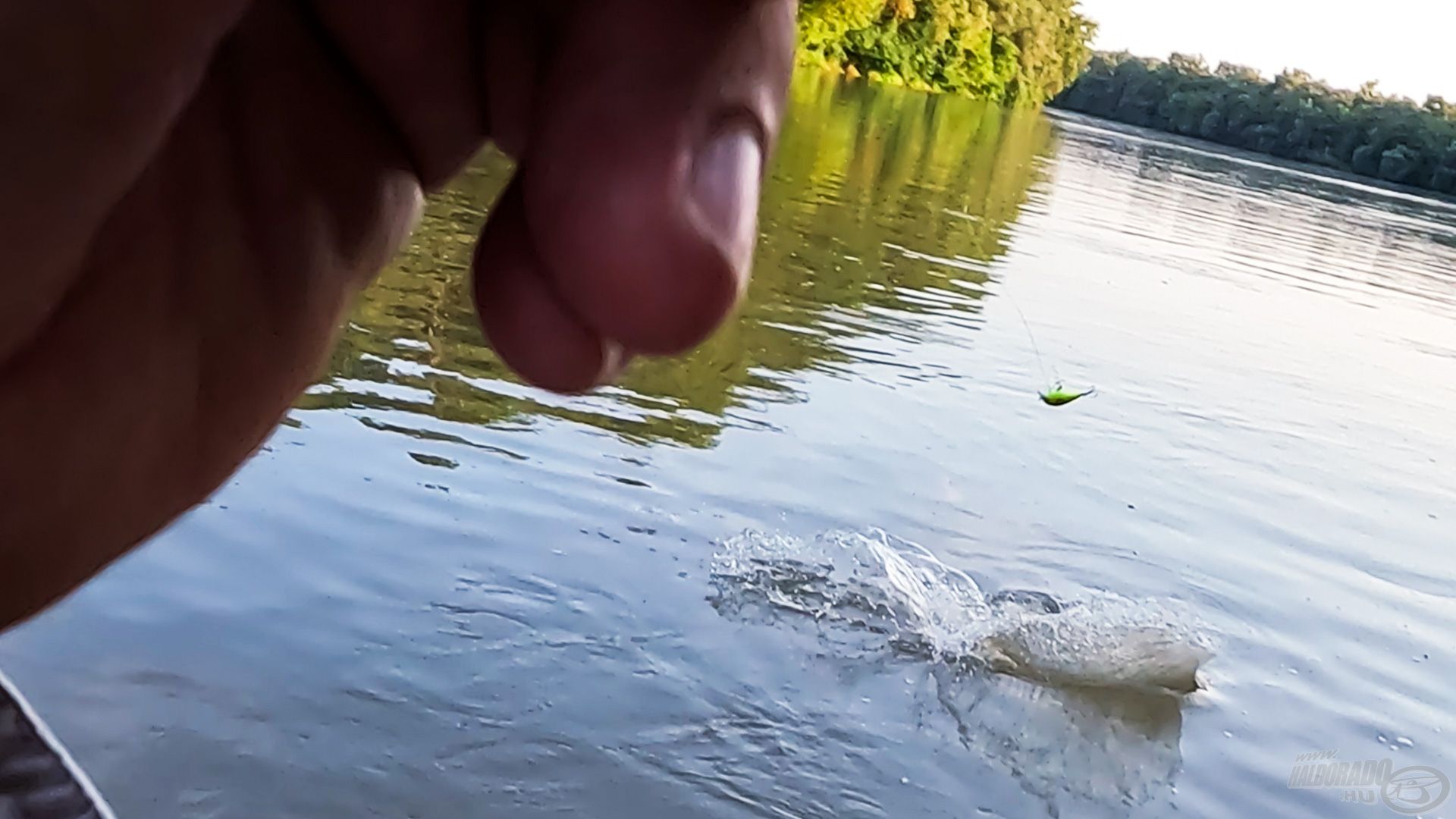 A lassan húzott wobblerre is felakasztják magukat, szerencsére lelépett időben, mondjuk, nem óvatoskodtam vele