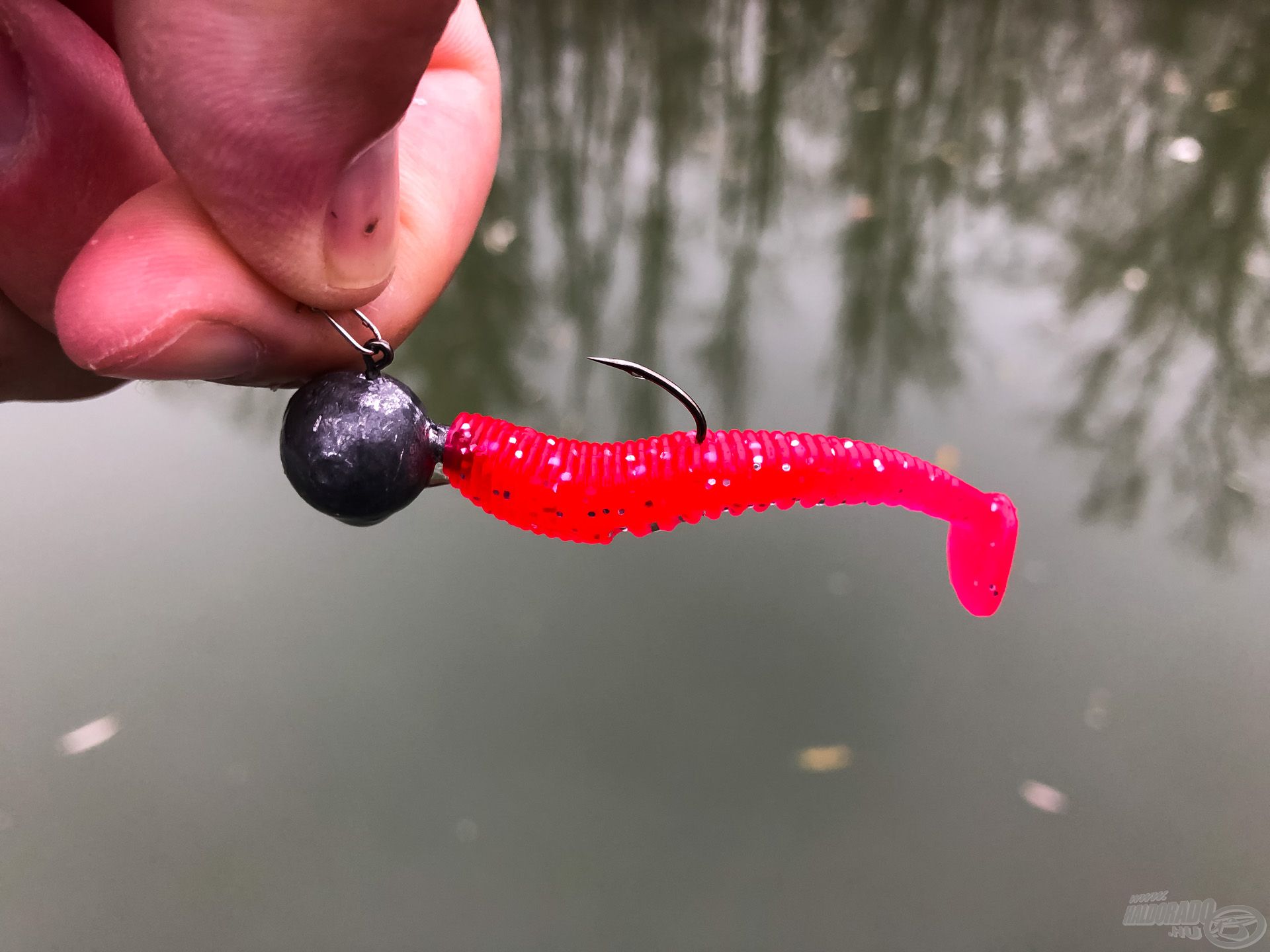 Ez volt az áldozat, egy kisméretű, 6,3 cm-es Nevis Impulse Shad