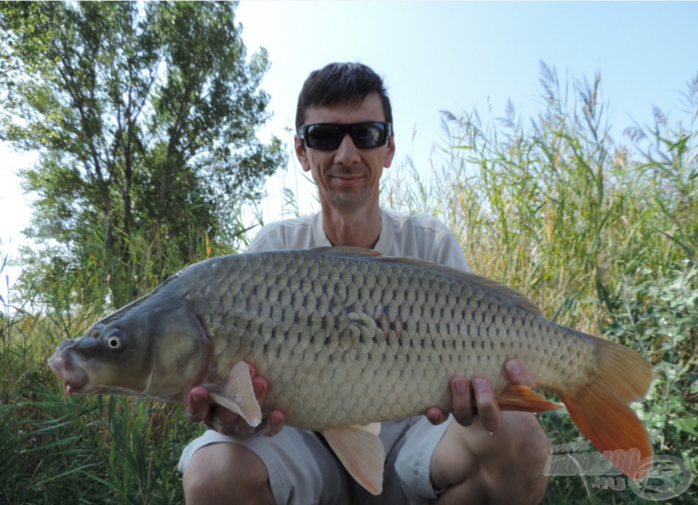 Megérkezett az első szebb ponty is