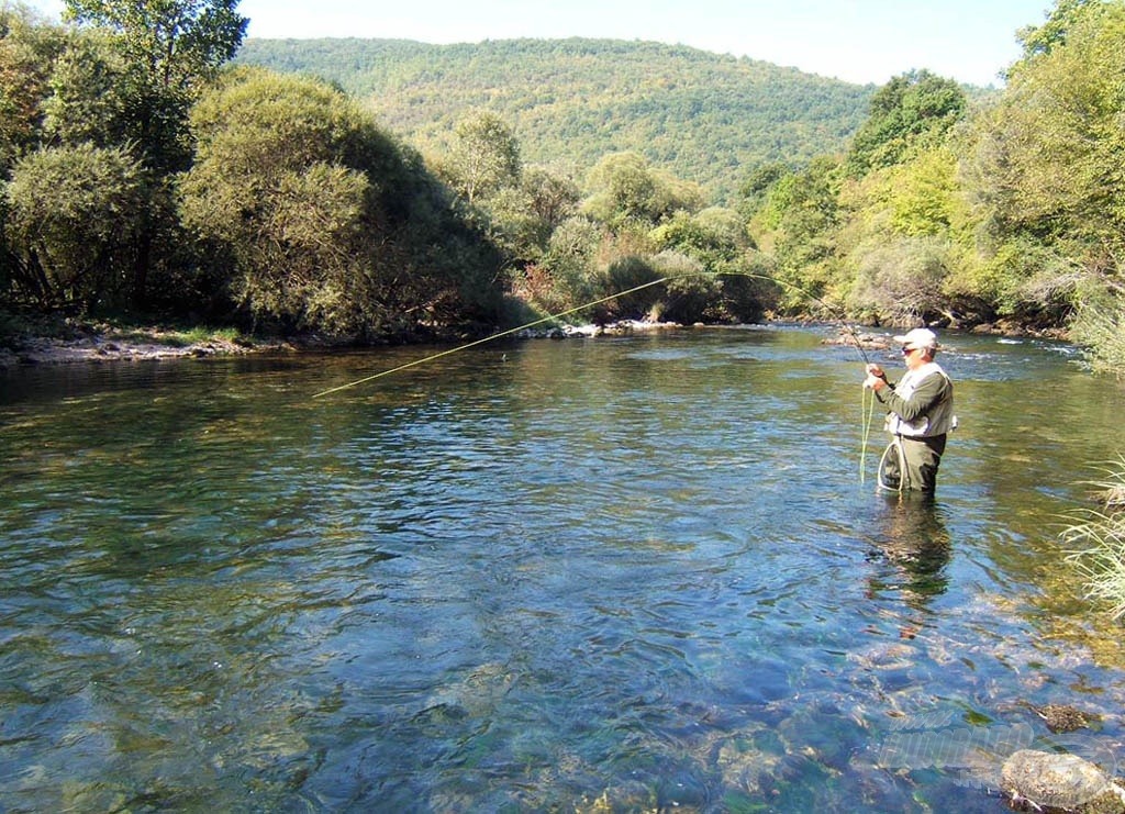 Halam a folyó közepén, az erős sodrásban fárasztja magát…