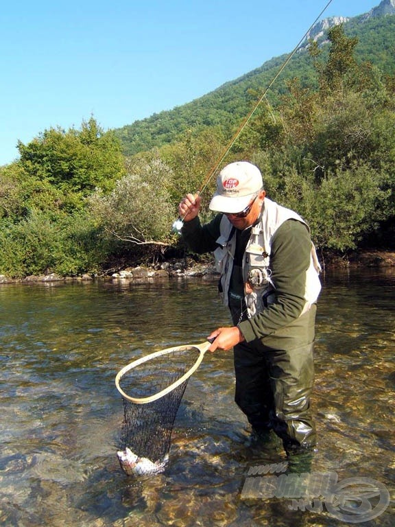 Merítőben a világos színű szivárványos