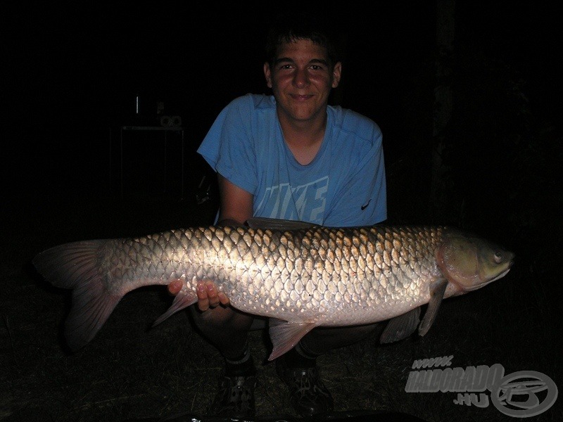 Ez a példány nem egy szokványos amurcsemegét kóstolt meg: az általam gyártott májas bojli tetszett meg neki! Súlya 9,8 kg. Krisz harmadik termetes amurja egy horgászaton belül!