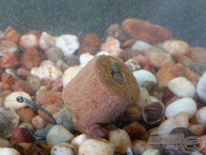 Az akváriumban jól látható, hogy szabadon lebeg a gyertyával könnyített pellet