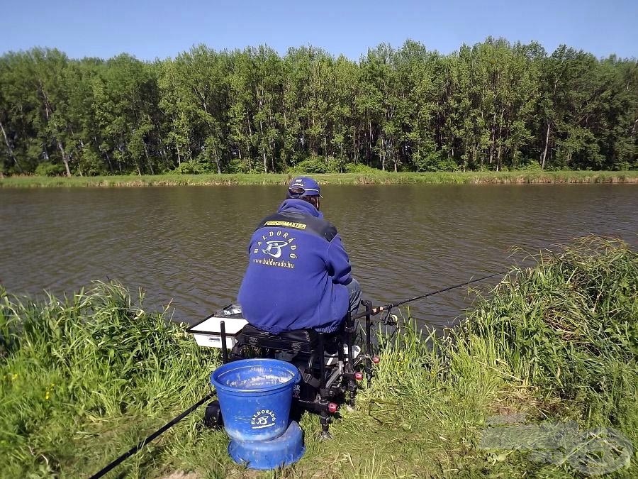 Egy óra elteltével hirtelen eltűntek a halak