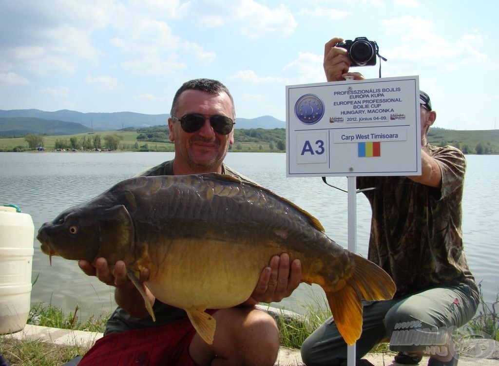 Tökéletes tükrösök: Carp West Timisoara