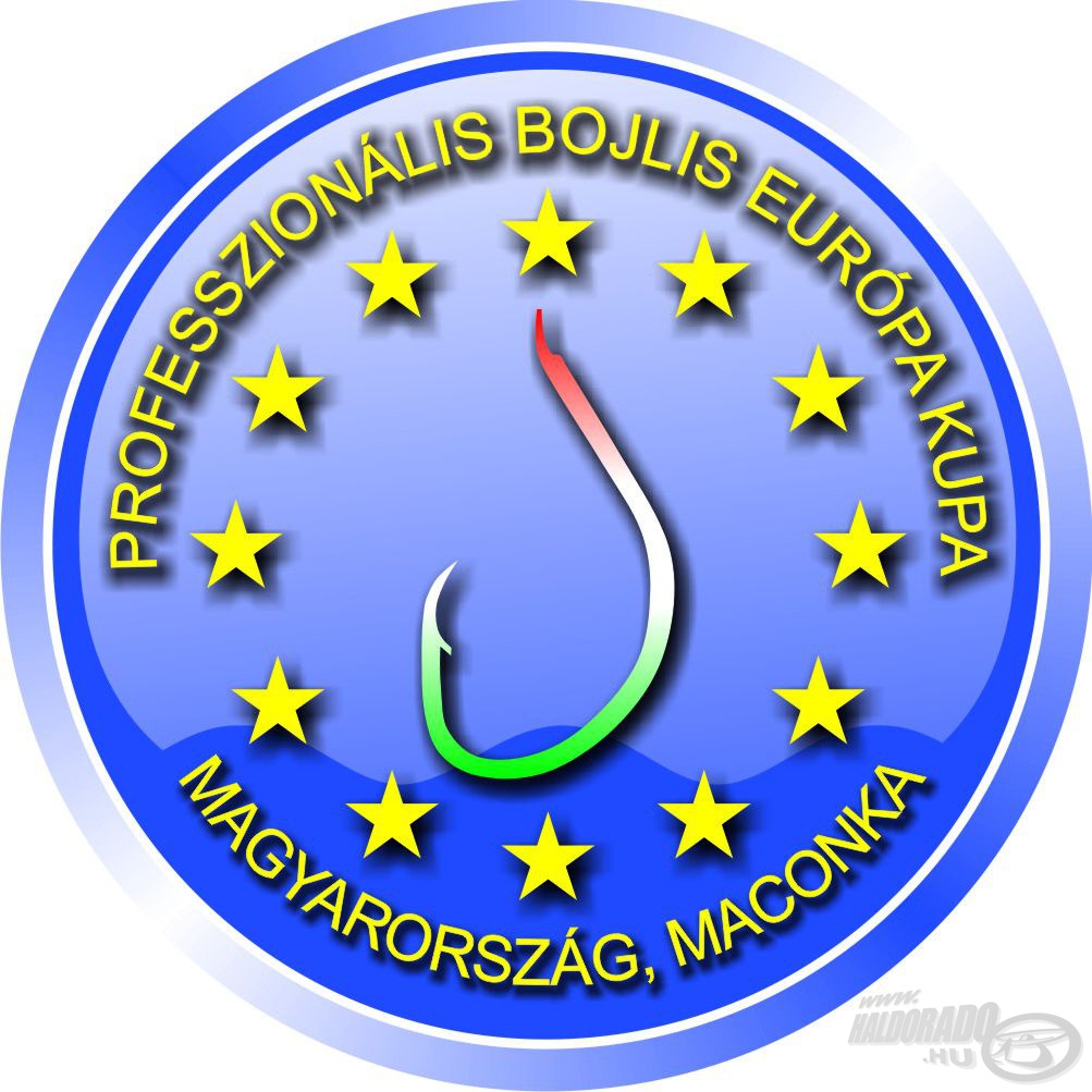 A hivatalos logo