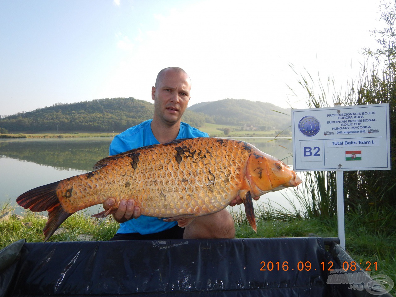 Total Baits 1.: Újabb gyönyörű koi