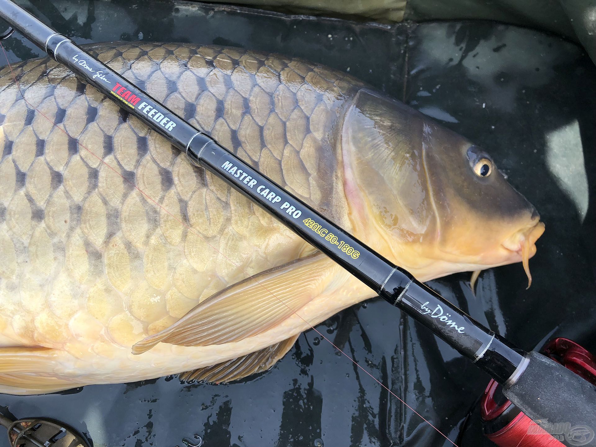 A By Döme TEAM FEEDER Master Carp Pro 420LC bottal nemcsak nagyot lehet dobni, de megbirkózik bármekkora hallal