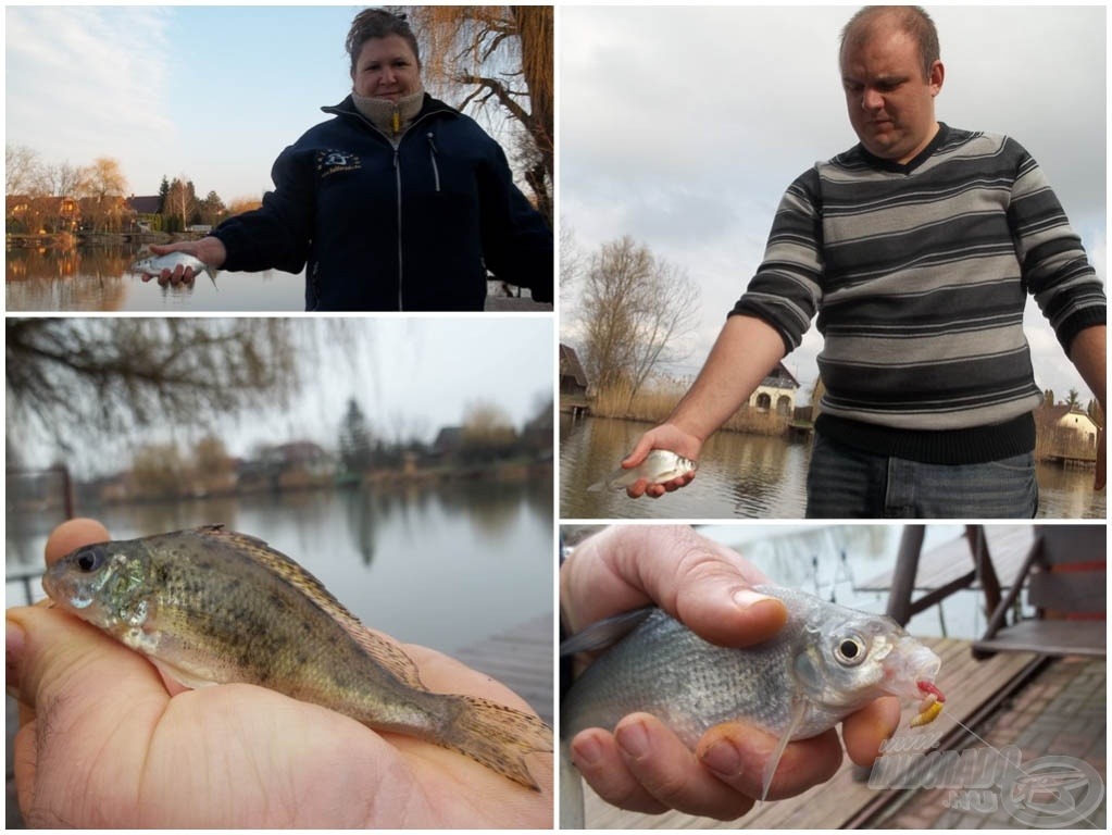 Mindenki fogja a magáét