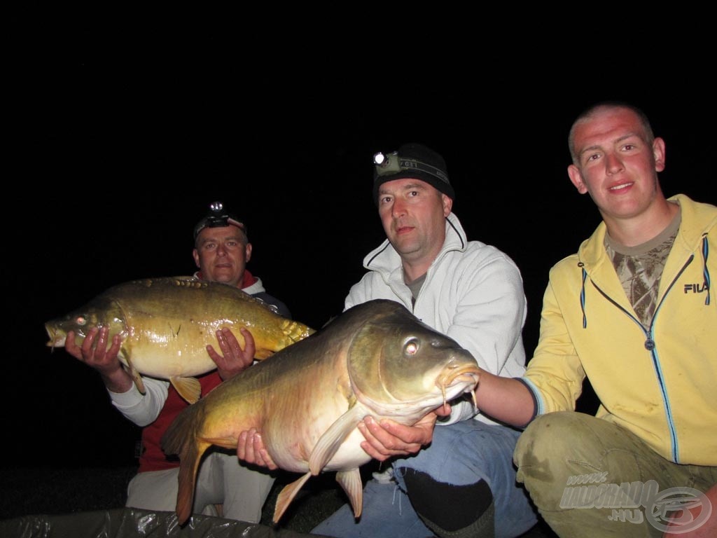 A Royal Carp Fishing Team éjszakai fogása