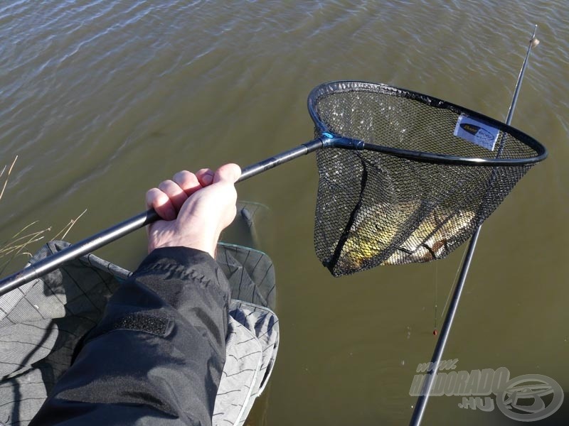 A száknyél felső részén található egy 40 cm hosszú toldó…