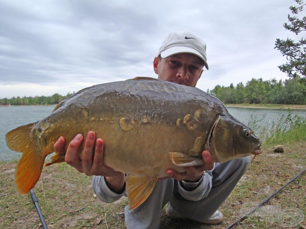 5,5 kg-os tükrös a feeder/bojli kombóra