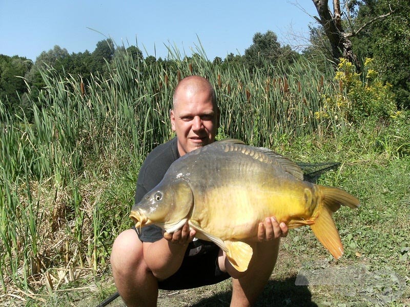 Szerencse a szerencsétlenségben, aminek eredménye egy szép 11,25 kg-os tükörpotyka