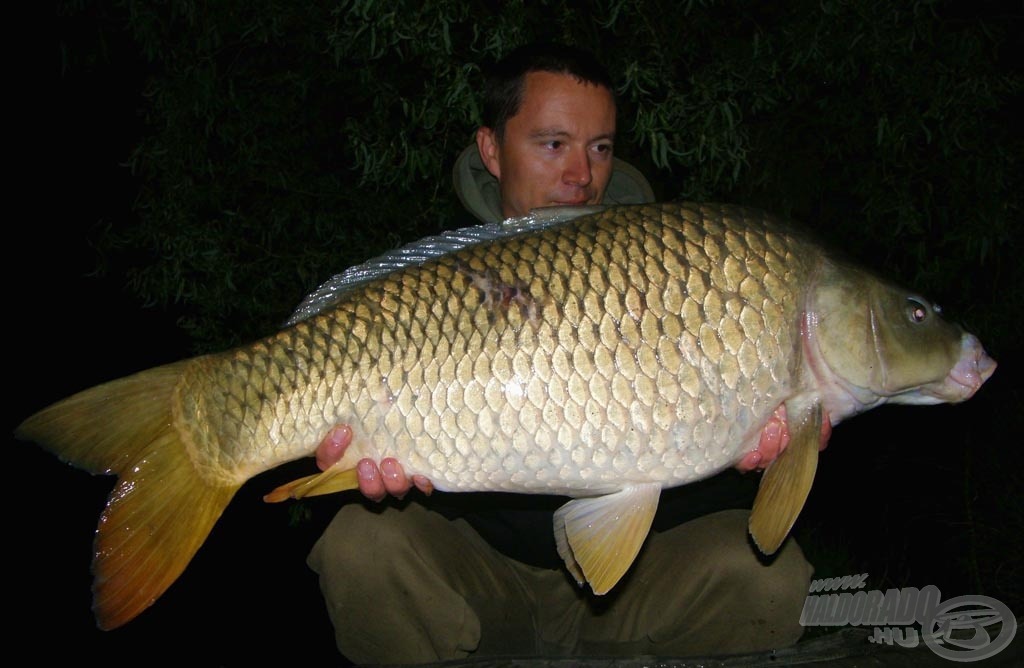 Egy eseménydús éjszaka első vendége (13 kg)