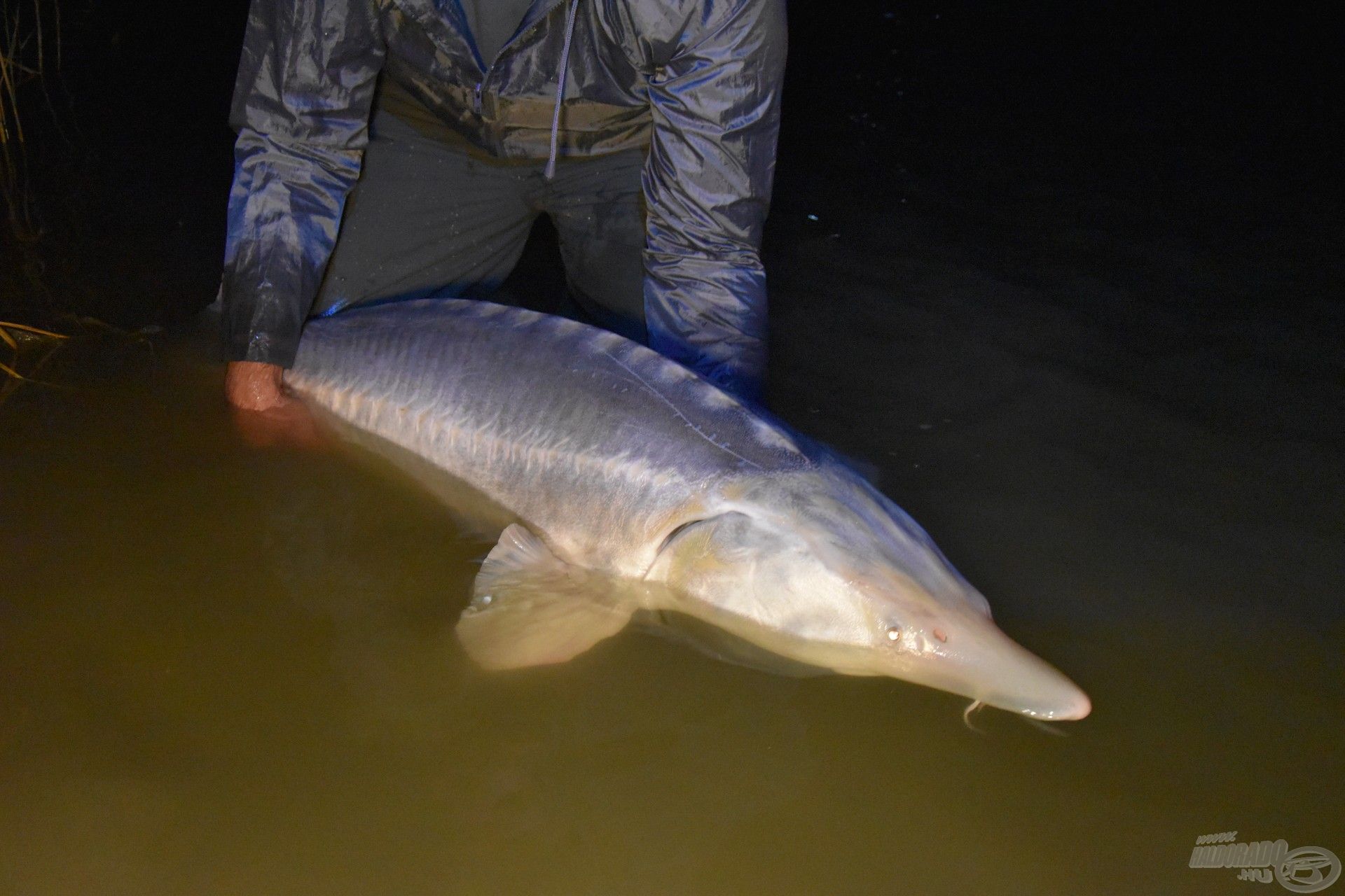 Életem első vizája, közel a 30 kilóhoz