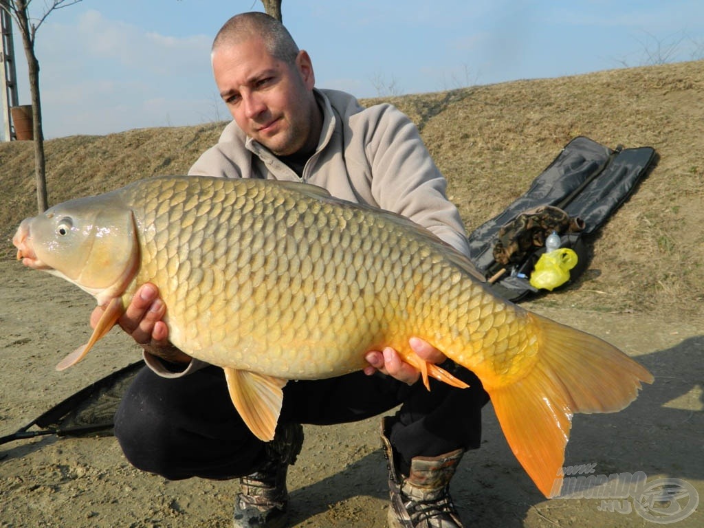 7,20 kg-os tőponty